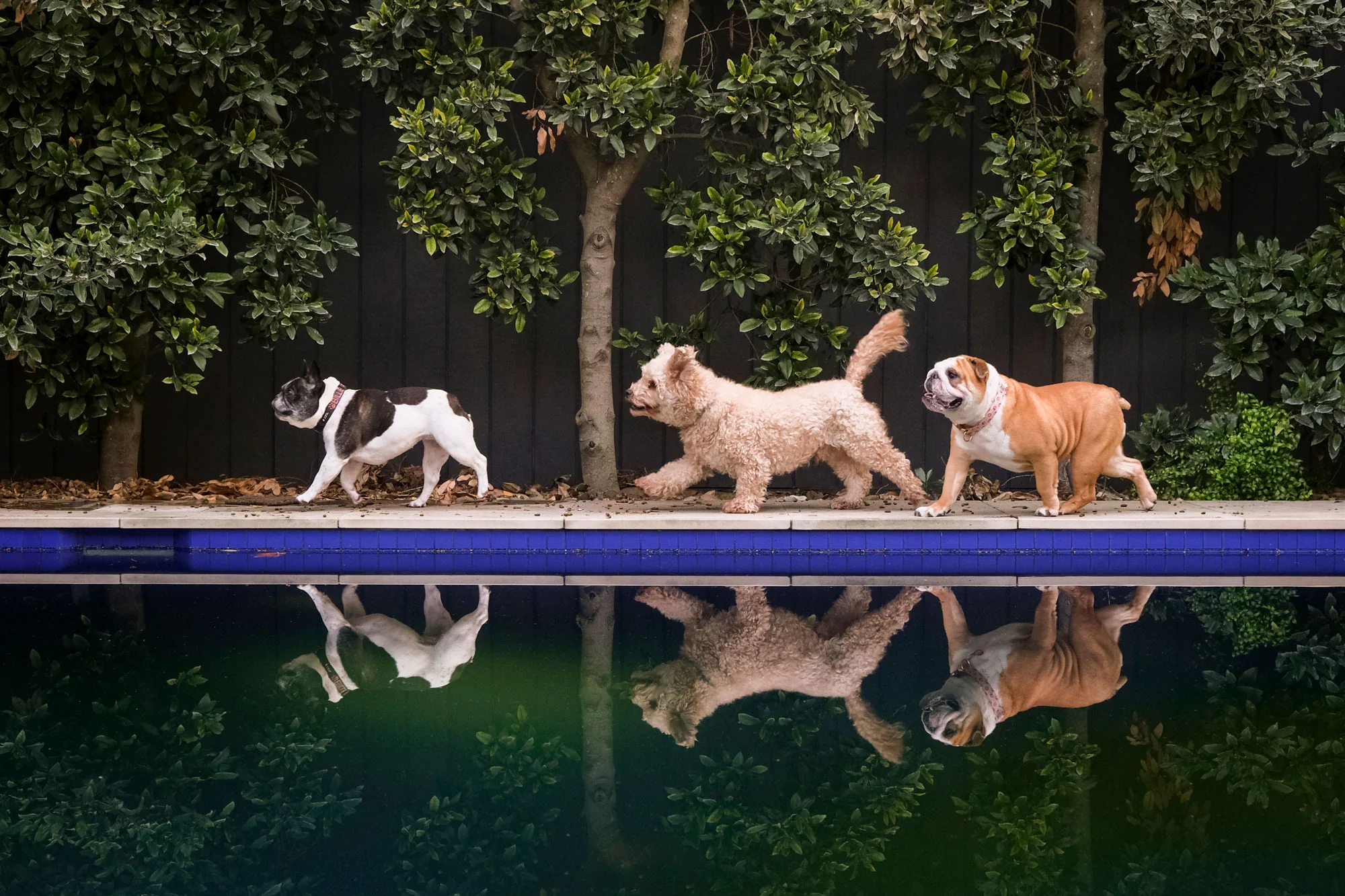 Master Your Photographic Vision